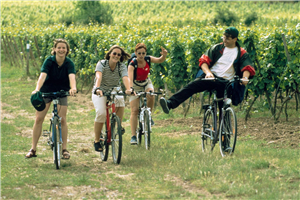 葡萄酒之路上的骑车游客(图片来源Bad Duerkheim Tourist Information）