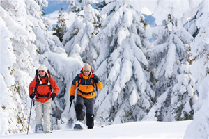 阿尔卑斯山区冬季雪地运动（图片来源Deutsche Zentrale fuer Tourismus e.V.，摄影师Geiger Daniel）