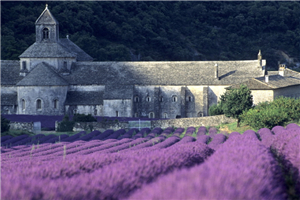 薰衣草花田中的塞南克修道院(Abbaye de Senanque)(摄影师Emmanuel Valentin，图片来源© Atout France)